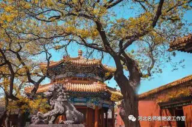 5dbe4ab378b23.jpg 5dbe4ab378b23.jpg