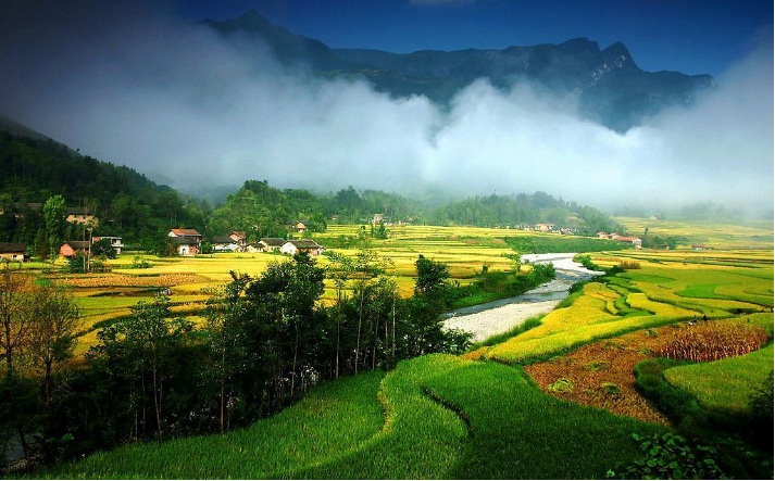 5f040dcd417ec.png 5f040dcd417ec.png