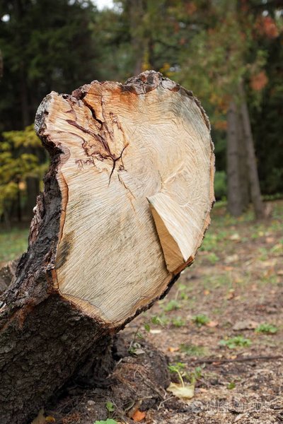 5f0415da495f5.jpg 5f0415da495f5.jpg