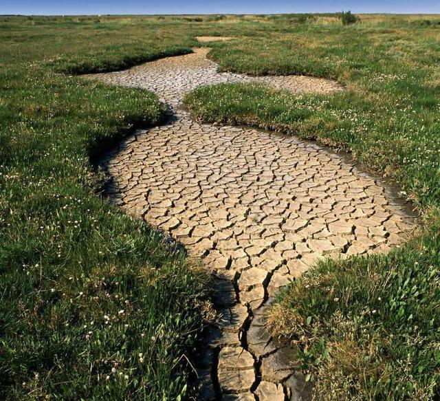 5f0416337a5e8.jpg 5f0416337a5e8.jpg