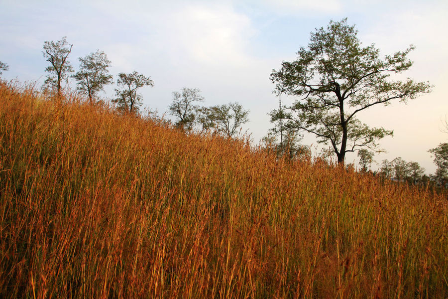 5f0418dc0abb6.jpg 5f0418dc0abb6.jpg