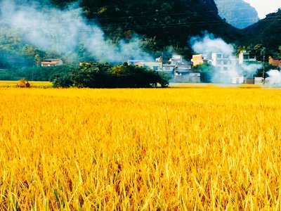 5f041921d2774.jpg 5f041921d2774.jpg