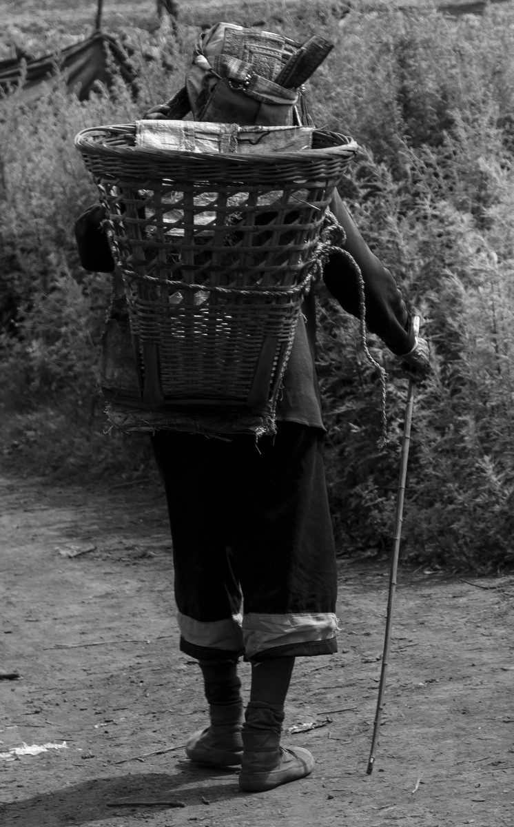 5f041d3e44759.jpg 5f041d3e44759.jpg