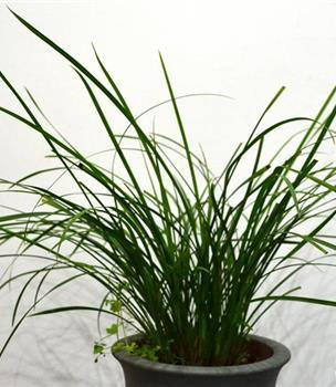 5f0581f5032aa.png 5f0581f5032aa.png