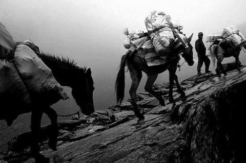 5f61729620fd1.jpg 5f61729620fd1.jpg