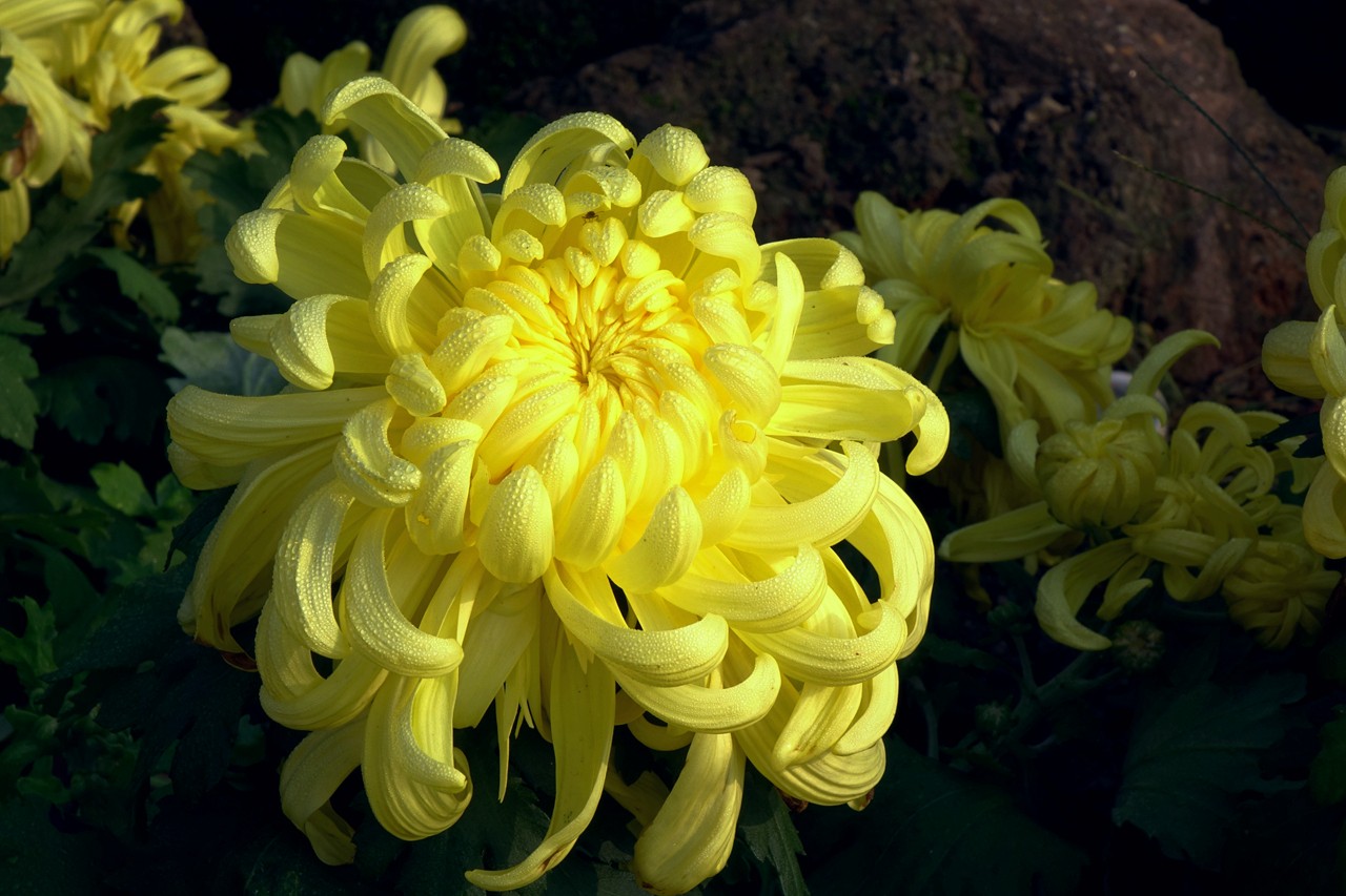 5f61ad0c25858.jpg 5f61ad0c25858.jpg