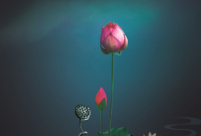 5f630e5884e74.jpg 5f630e5884e74.jpg