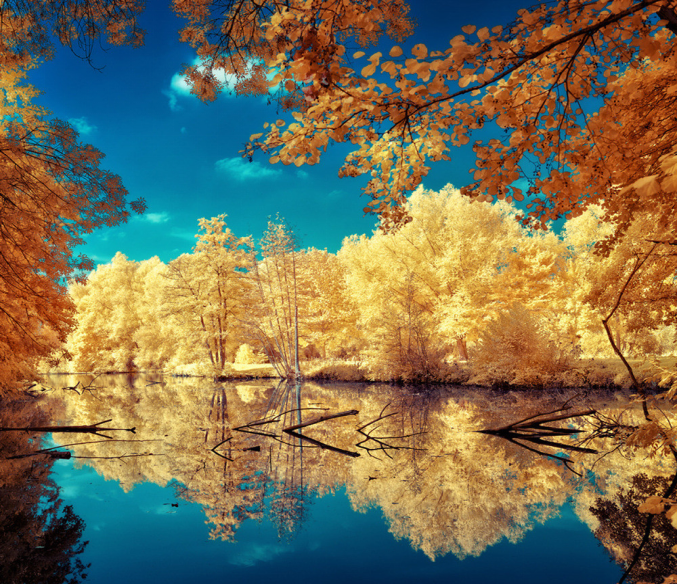 5f8d440b55753.png 5f8d440b55753.png