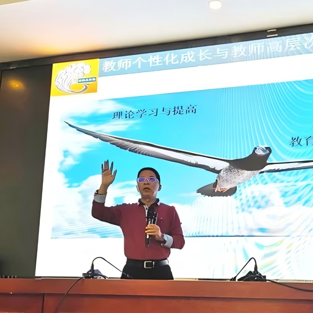 691c363fbffb1.png 691c363fbffb1.png